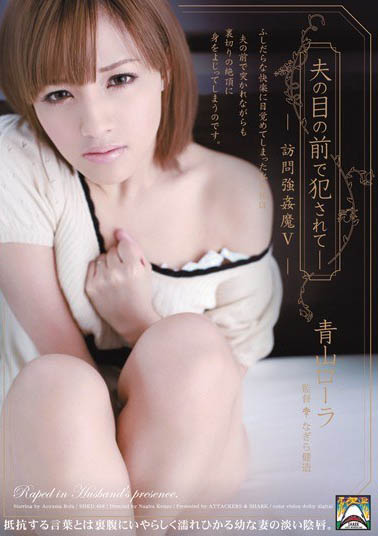S1传说美少女《青山萝拉》精选作品推荐介绍及封面预览