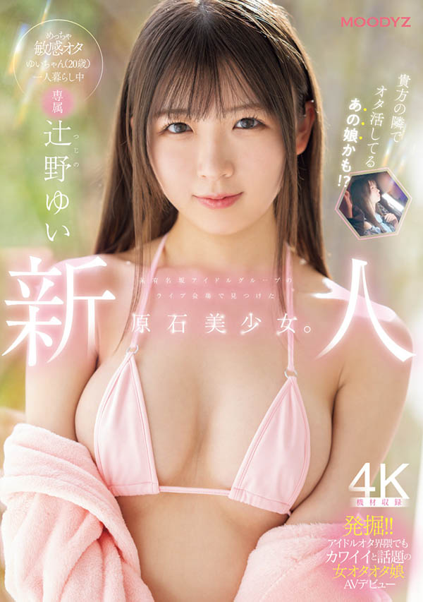 辻野ゆい(辻野唯)最新作品MIDA-228介绍及封面预览