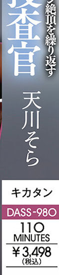 天川そら(天川空)最新作品DASS-980介绍及封面预览