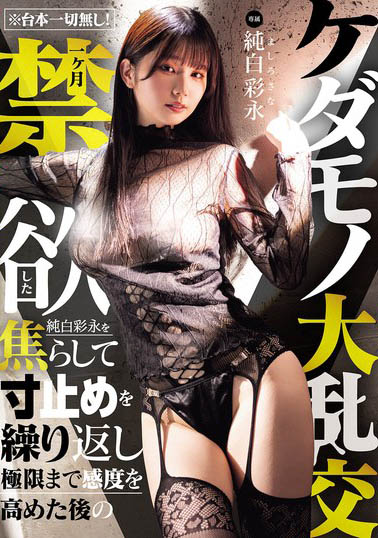 「纯白彩永」最新作品MIDA-759介绍及封面预览